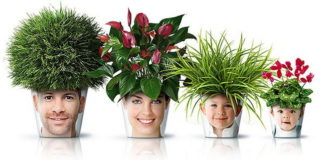 6 biljaka koje će doneti pozitivnu energiju u vaš dom