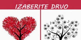 Izaberite drvo, a mi ćemo vam reći kako vi umete da volite