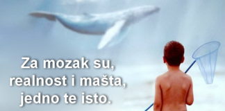 10 činjenica o radu mozga koje dokazuju da smo mi spremni na sve