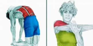 20 slika koje prikazuju pravilno istezanje određenih mišića