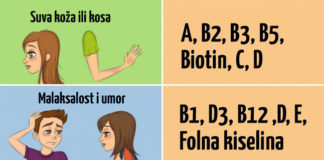 Sve što ste želeli da znate o vitaminima, a niste pitali.