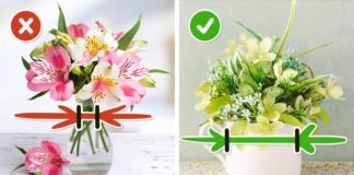 Da buket duže traje: 5 načina kako sačuvati svežinu rezanog cveća