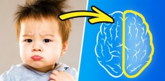 Naučnici kažu: Deca nasleđuju inteligenciju od majke