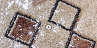 Pospite sodu bikarbonu po tepihu i pogledajte šta će se desiti