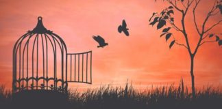 Svi smo mi rođeni slobodni