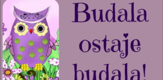 Budala ostaje budala