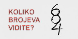 Koliko brojeva vidite na ovoj slici?