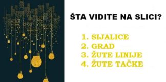 Pogledajte sliku i recite šta vidite