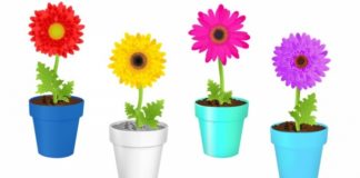 Izaberite kombinaciju boja koja vama najviše prija i saznajte šta o tome kažu psiholozi