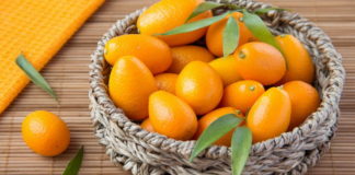 Kumkvat: Lekovita svojstva i primena u ishrani