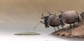 Zanimljiv i duboko filozofski crtani film