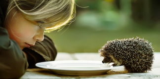 Dan kada svom detetu prestala da govorim „Hajde požuri!“