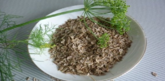 Izlečila je kataraktu bez operacije, običnom mirođijom!