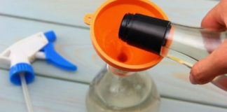 Kako se zauvek rešiti kućnih mrava