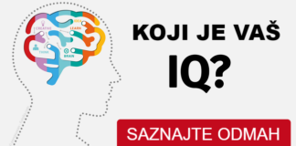 Najkraći IQ test na svetu