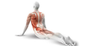 10 jednostavnih vežbi za otklanjanje bola u leđima i jačanje trbušnih mišića