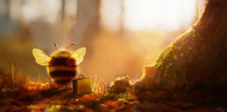 Priznaj: tamo si gde želiš da budeš