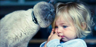 Ako izdate onoga ko vam je pomogao, film će se vratiti unazad