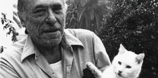 Došao je pred vrata jedne noći mokar mršav i isprepadan beli zrikavi mačak