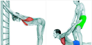 20 vežbi istezanja koje vam daju novo telo!