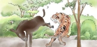 Kad neznanje vrišti, inteligencija zaćuti. Tvoj mir i spokoj vrede više.