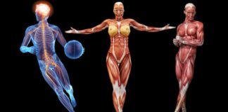 Evo od čega se sastoji ljudsko telo