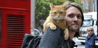 Istinita priča o divnom prijateljstvu između mačka i čoveka