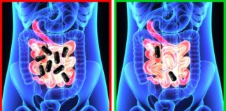Kompletan spisak problema koje rešava aktivni ugalj