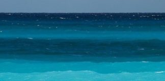 More je kao život: Što više i iskreno uživaš, to si srećniji