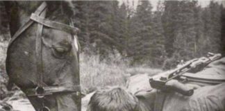 Pij gde konj pije. Lošu vodu konj neće nikada piti.