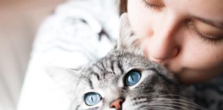 Mačka ima minerale u krvnom lancu koji je čine prirodnim reikistom