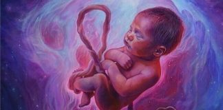 Ćelije iz fetusa u mozgu majke ostaju 18 godina nakon porođaja