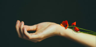 Kod mene je ili sve ili ništa. Ili ostajem, cela, ili odlazim..