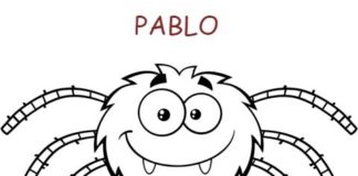 Kako se zove vaš pauk?