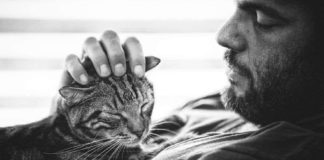 Mačka se nikada neće sprijateljiti sa nekim ko nije sposoban da je voli