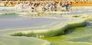 Na svetu postoji 63 mora i 5 okeana