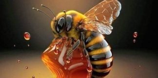 Kašika meda za nas, je ceo život za pčelu