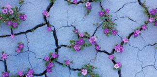 Ako vam je sada veoma teško – ponavljajte ove fraze