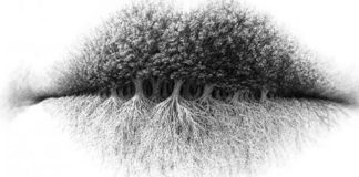 Ono što ste ugledali prvo – definiše vašu ličnost