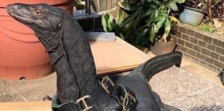 Ne budite naivni. Neki pogledi nisu znak ljubavi, već taktika.