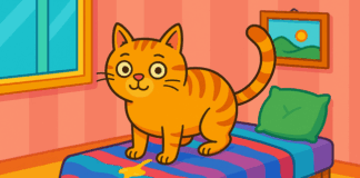 Zašto baš krevet? Kad mačka piški gde ne treba